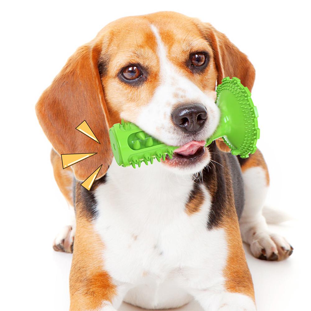 Novel Toothbrush Chew Toy with Rubber Sucker for Dog Dental Care SP