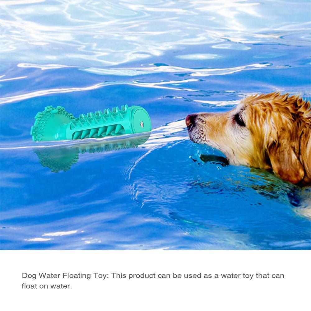 Novel Toothbrush Chew Toy with Rubber Sucker for Dog Dental Care SP