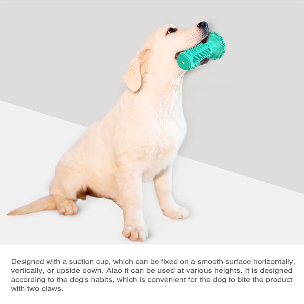 Novel Toothbrush Chew Toy with Rubber Sucker for Dog Dental Care SP