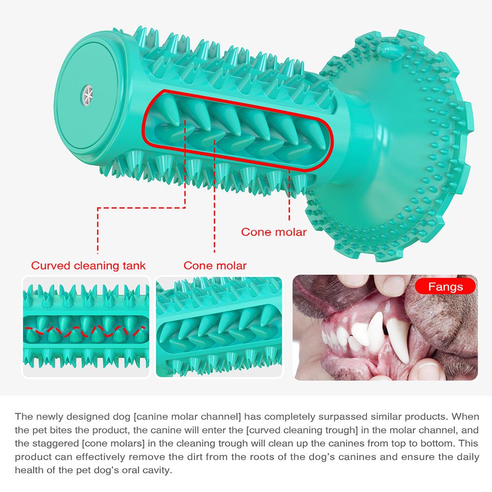 Novel Toothbrush Chew Toy with Rubber Sucker for Dog Dental Care SP