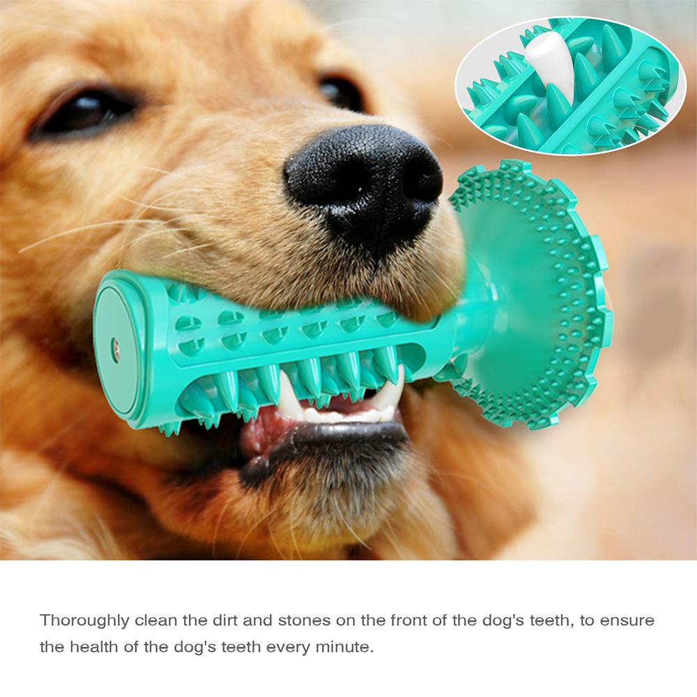 Novel Toothbrush Chew Toy with Rubber Sucker for Dog Dental Care SP