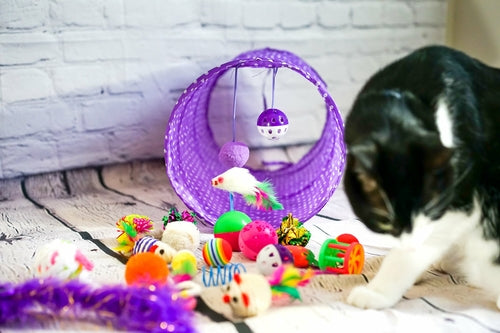 Cat Toys Sets