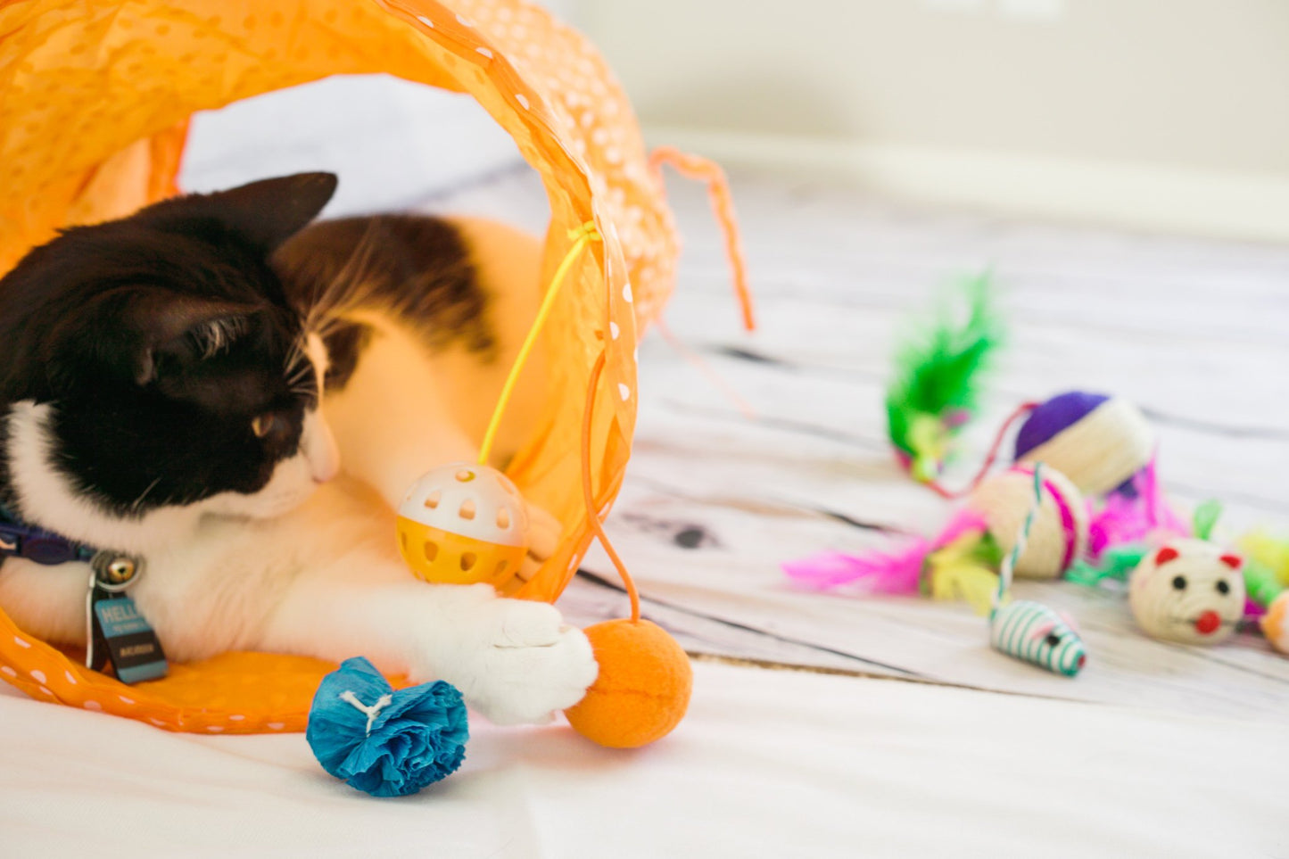 Cat Toys Sets