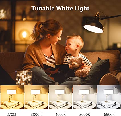 Smart LED Light Bulbs
