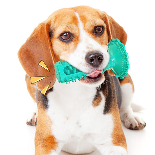 Novel Toothbrush Chew Toy with Rubber Sucker for Dog  Dental Care SP