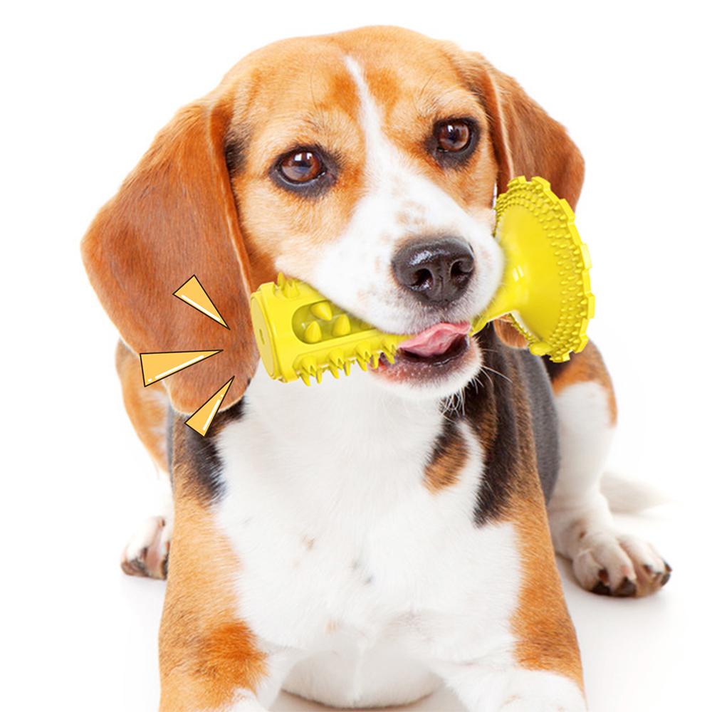 Novel Toothbrush Chew Toy with Rubber Sucker for Dog  Dental Care SP
