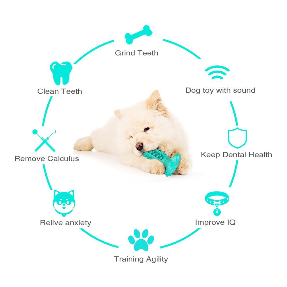 Novel Toothbrush Chew Toy with Rubber Sucker for Dog  Dental Care SP