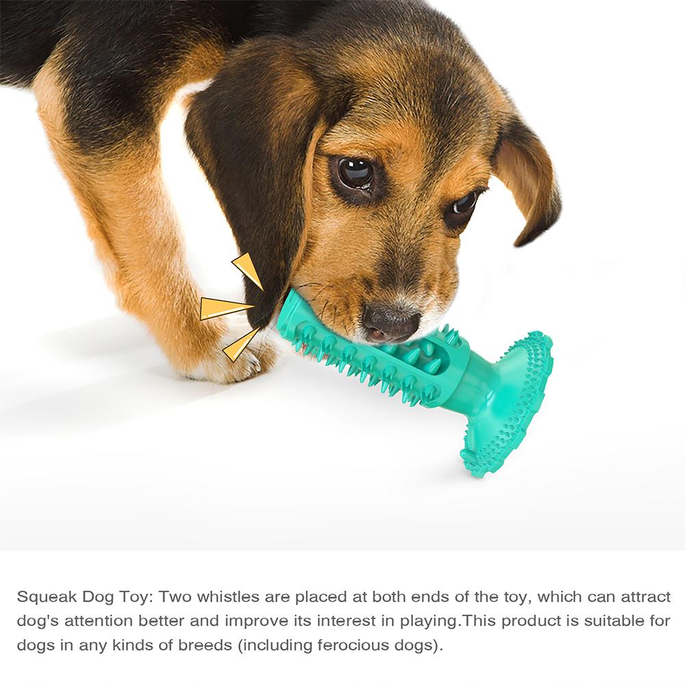Novel Toothbrush Chew Toy with Rubber Sucker for Dog  Dental Care SP