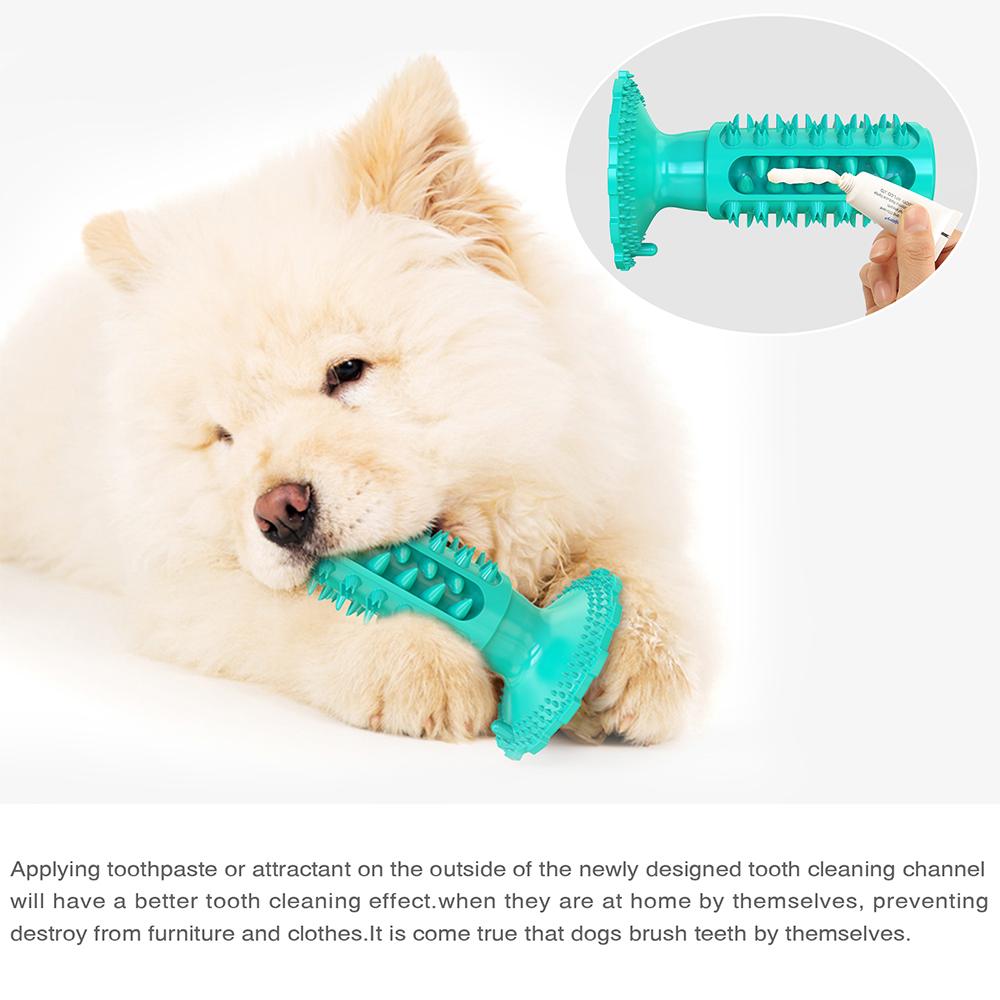 Novel Toothbrush Chew Toy with Rubber Sucker for Dog  Dental Care SP