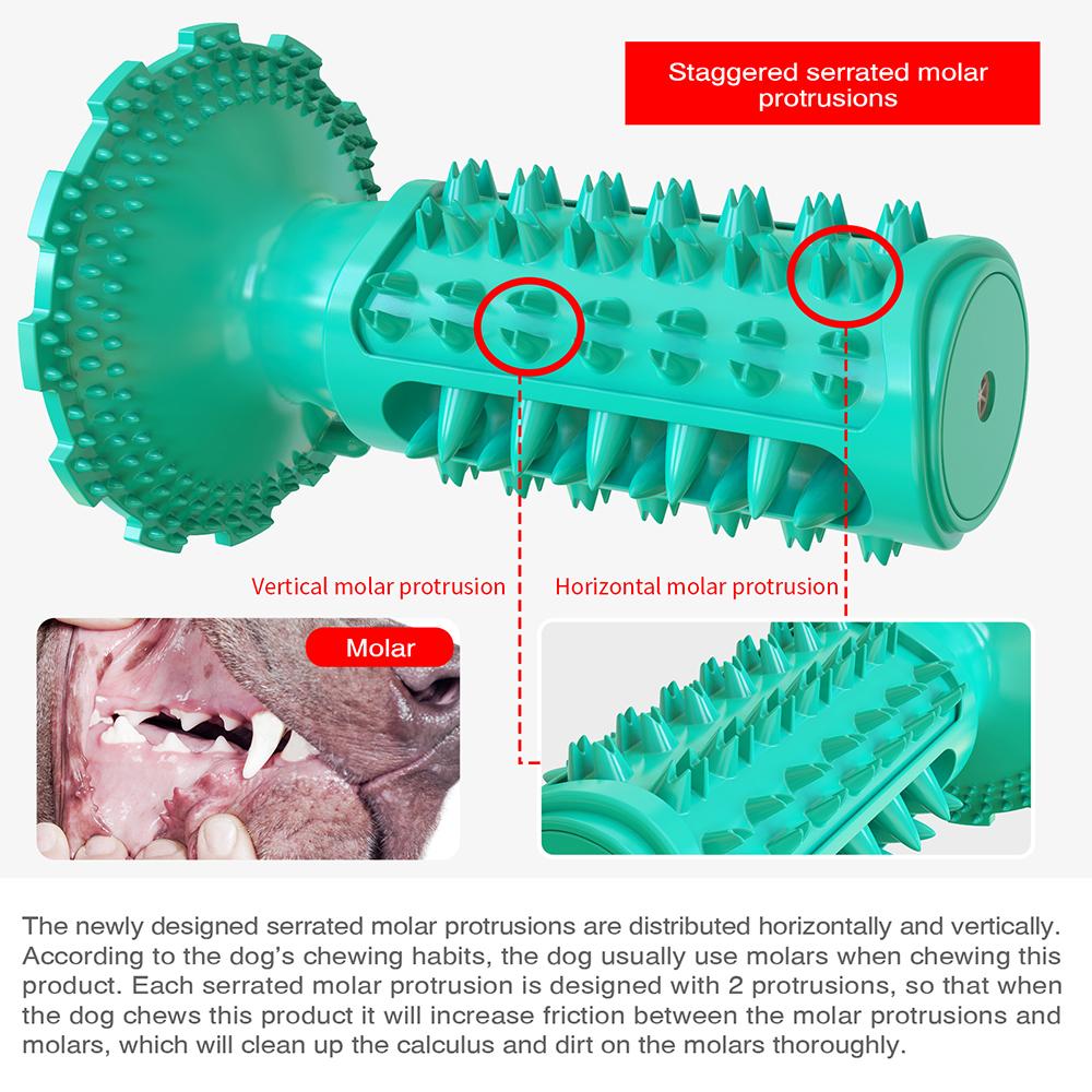 Novel Toothbrush Chew Toy with Rubber Sucker for Dog  Dental Care SP