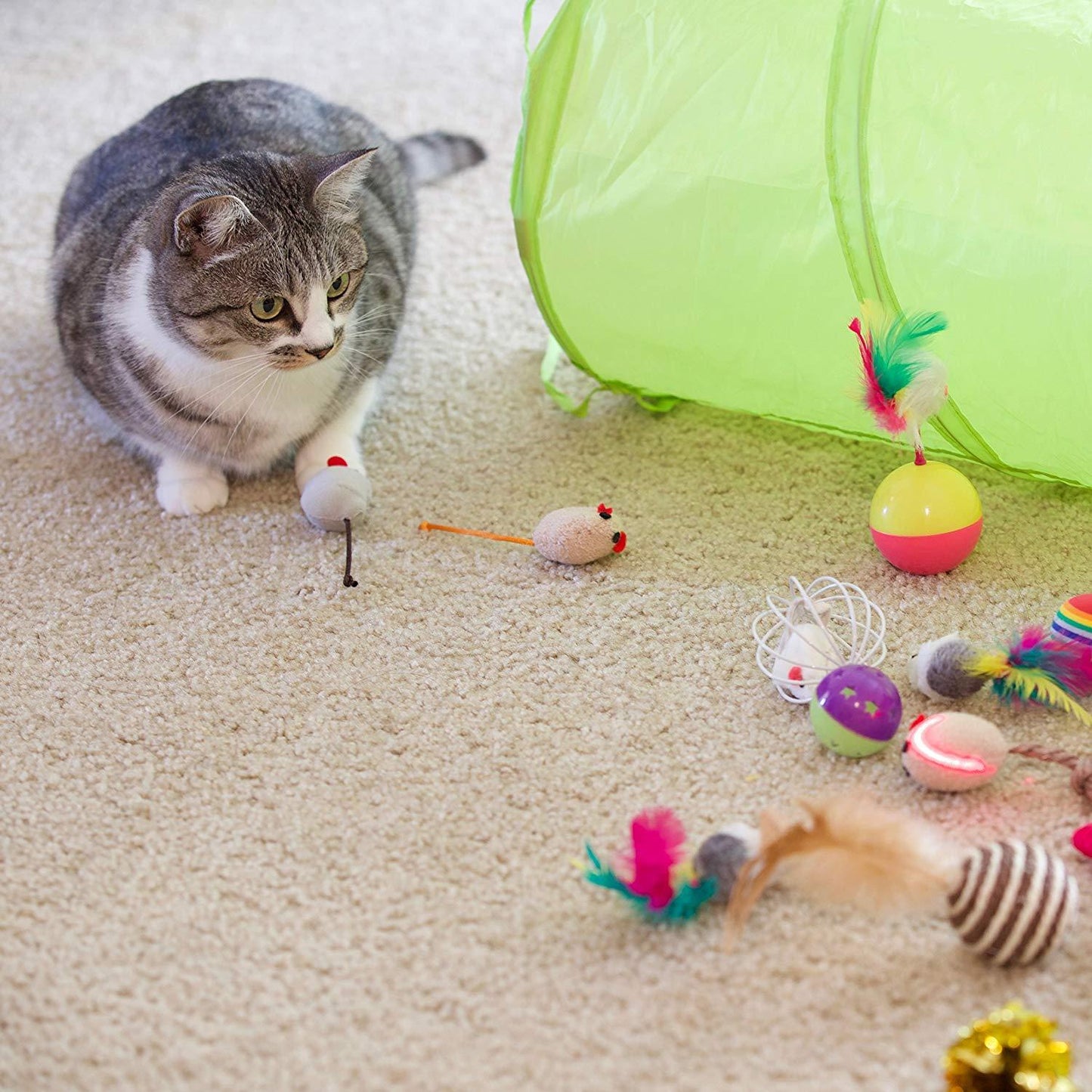 Cat Toys Sets