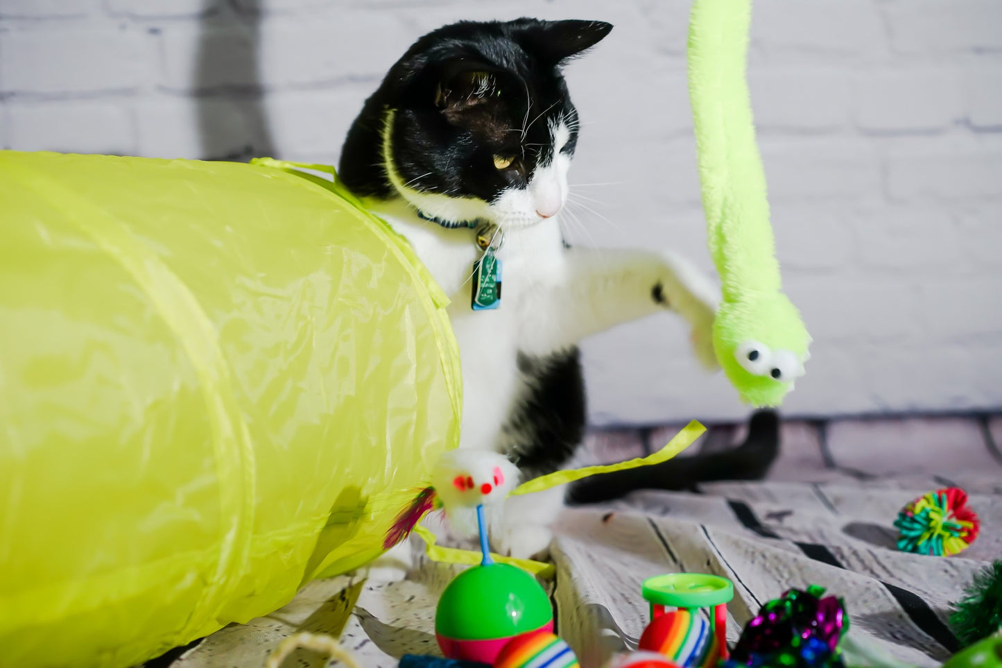 Cat Toys Sets
