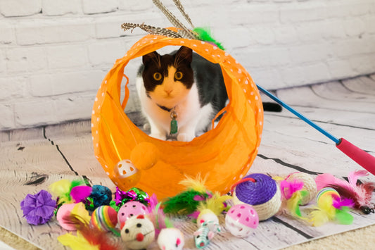 Cat Toys Sets