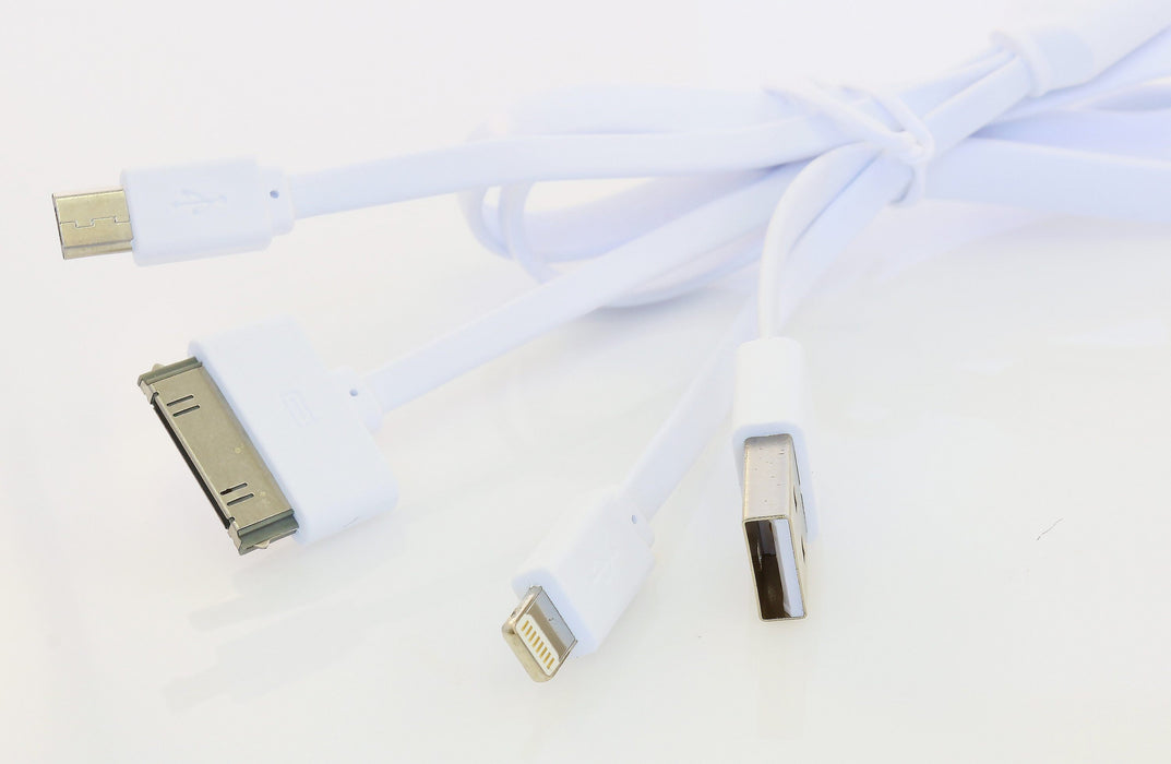 Portable Charger (Single)