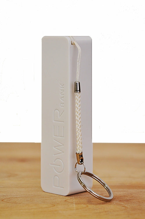 Portable Charger (Single)