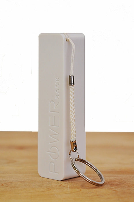 Portable Charger (Single)